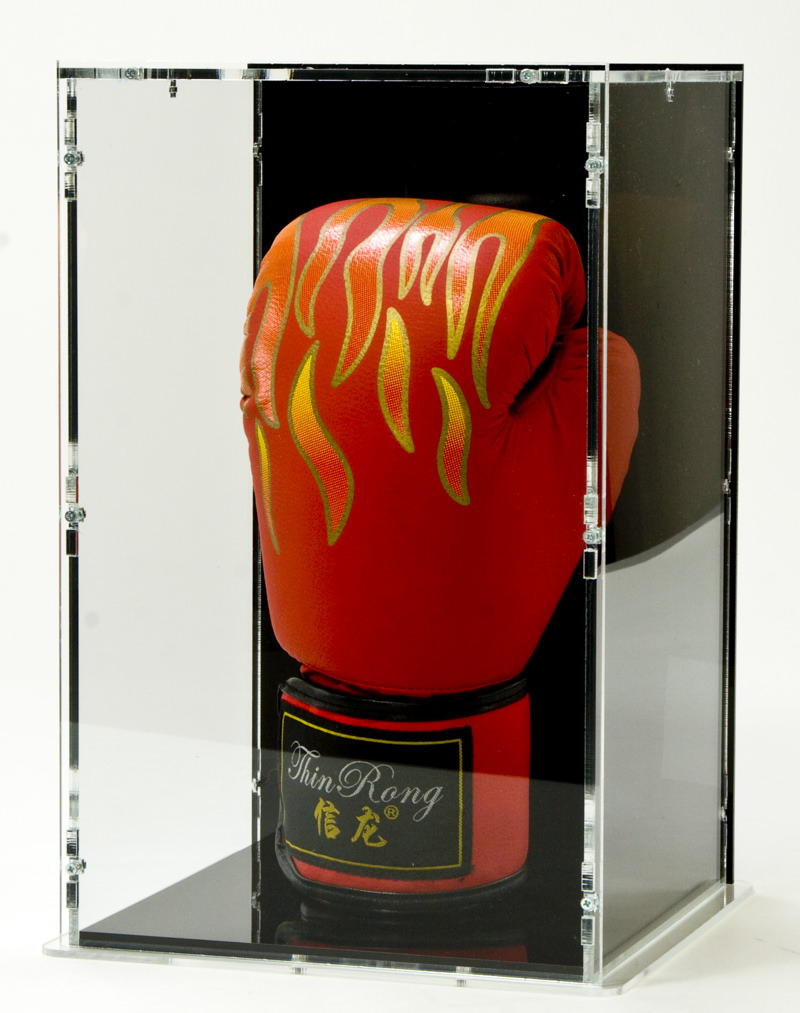 Case für Boxhandschuhe