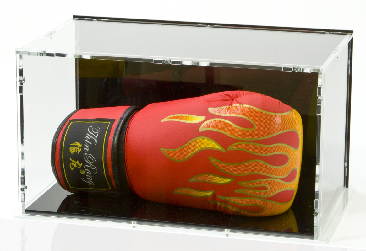 Case für Boxhandschuhe