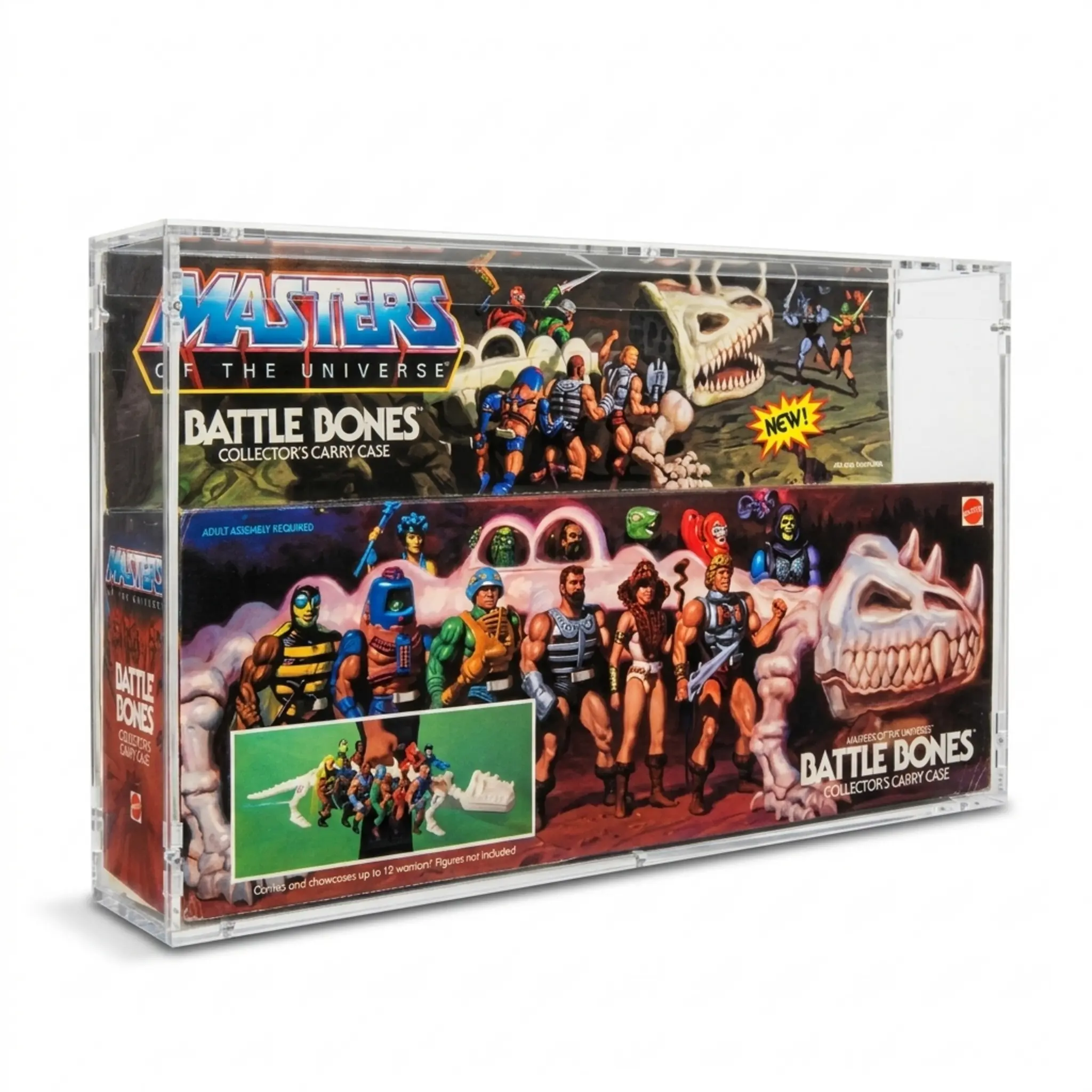 MotU Battle Bones Case